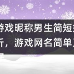 游戏网名 简单又好听,游戏网名精选指南