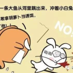 小白兔的搞笑段子,森林里的欢乐小故事