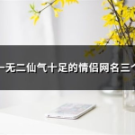 独一无二仙气十足的网名,揭秘那独一无二的仙气网名背后的传奇故事